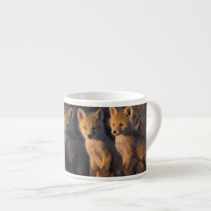 Xícara De Espresso raposa-vermelha, Vulpes vulpes, filhotes
