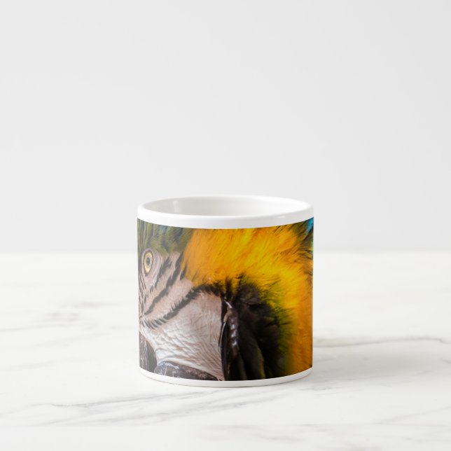 Xícara De Espresso Retrato de arara azul e amarela (Frente)
