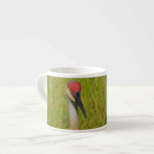 Xícara De Espresso Sand Hill Crane Olhando Para A Câmera (Frente Esquerda)