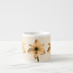 Xícara De Espresso sepia amaryllis