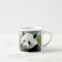 Xícara De Espresso taça de café expresso Panda gigante fotográfico.