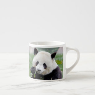 Xícara De Espresso taça de café expresso Panda gigante fotográfico