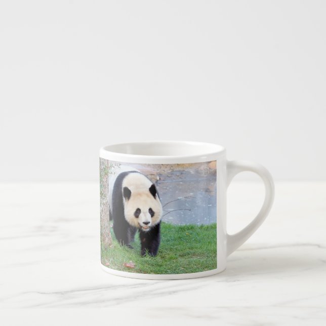 Xícara De Espresso taça espresso Panda gigante fotográfico (Direita)