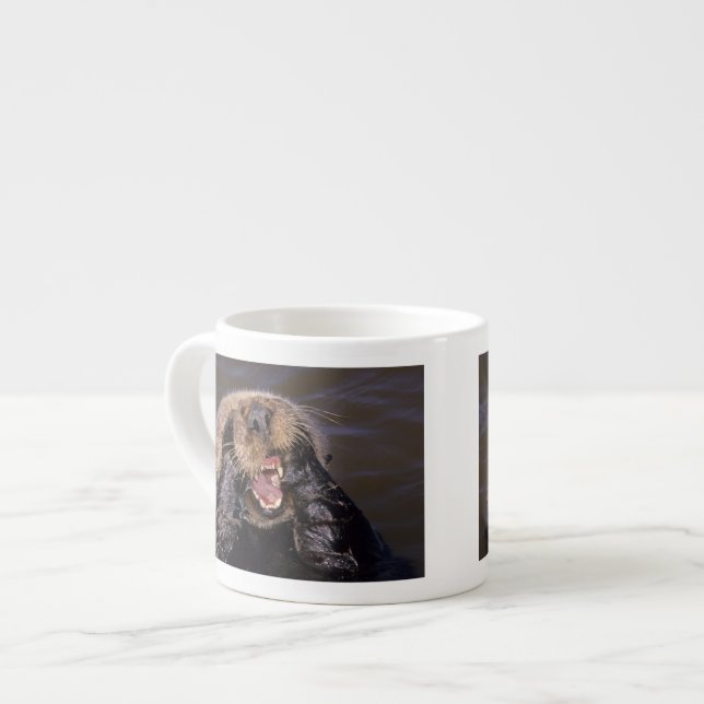 Xícara De Espresso Tartarugas marinhas, Enhydra lutris 6 (Frente Esquerda)