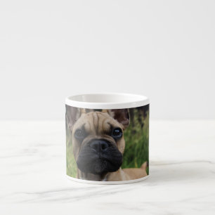 Xícara De Espresso Travesseiro decorativo de Buldogue Francês
