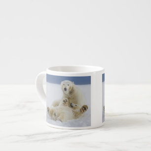 Xícara De Espresso Uma fêmea de urso polar e seu filhote brincam na n