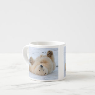 Xícara De Espresso urso polar, Ursus maritimus, filhote rolando 3