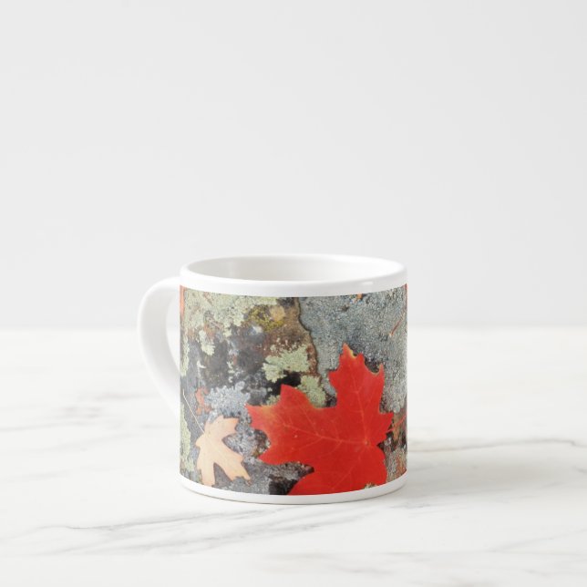 Xícara De Espresso Utah, Floresta Nacional de Fishlake.Padrões (Frente Esquerda)