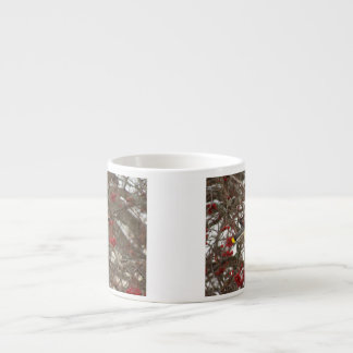 Xícara De Espresso Waxwing de cedro