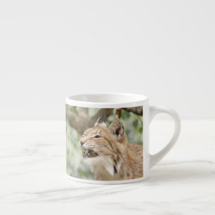 Xícara De Espresso xícara espresso gato lince fofo