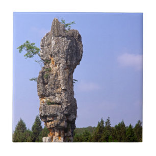 Xilim pinnacle Stone Forest - Yunnan, China, Ásia
