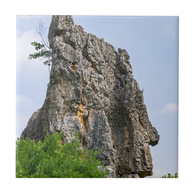 Xilim pinnacle Stone Forest - Yunnan, China, Ásia (Frente)