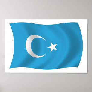 Xinjianj Uigure Flag Impressão