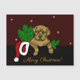 XMas puppy