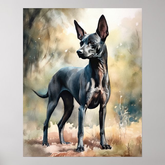 Xoloitzcuintli Dog Art Poster (Frente)