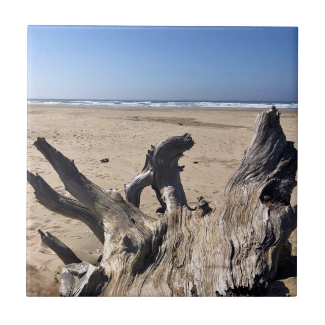 Yaquina Bay State Recreation Site, Newport, Oregon (Frente)