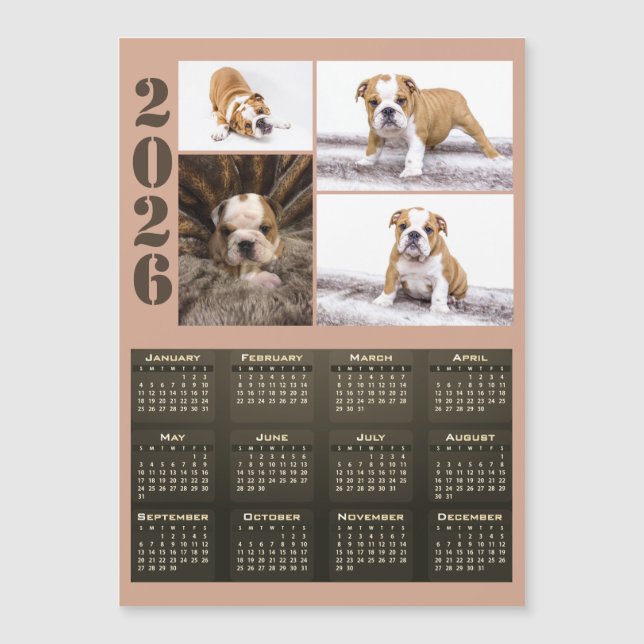 Year 2026 Calendar Dog Pet 4 Photo Collage Magnet (Frente)