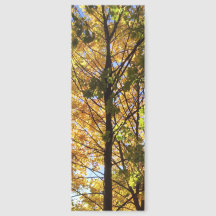 Yellow and Green Fall Foliage