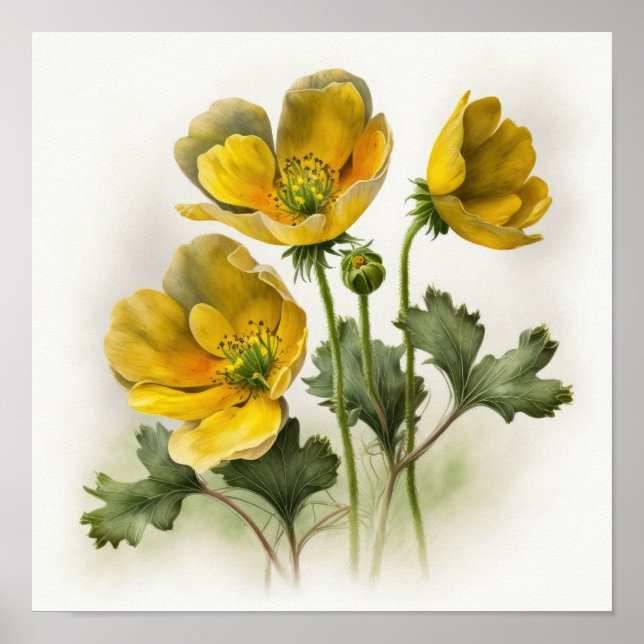 Yellow Buttercups Flower Art Poster (Frente)
