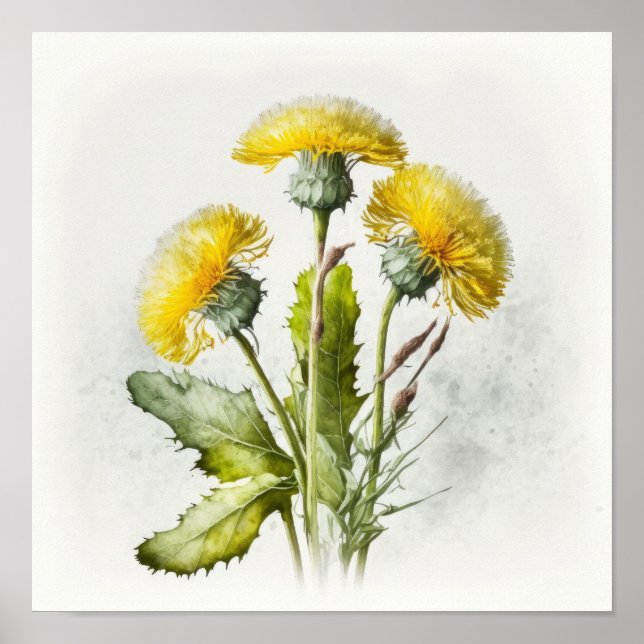 Yellow Dandelions Flower Art Poster (Frente)
