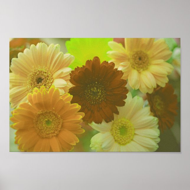Yellow Gerbera Daisy Flowers Wall Art Impressão (Frente)