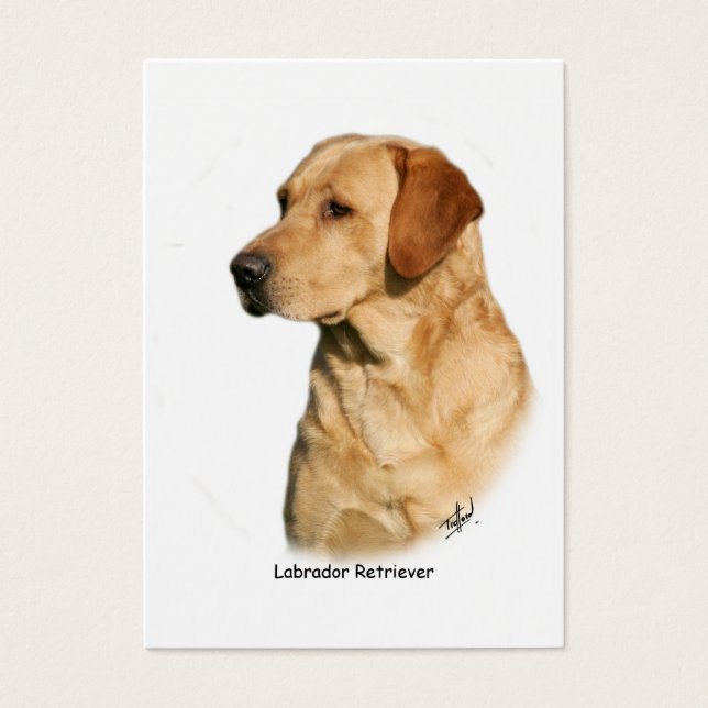 Yellow Labrador Retriever (Frente)