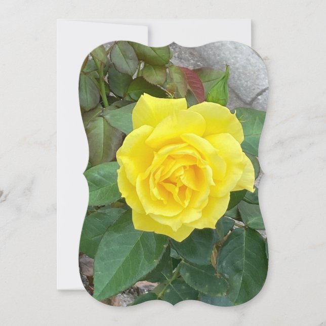 Yellow Rose Card (Frente)