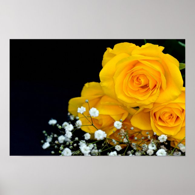 Yellow roses flower Poster (Frente)