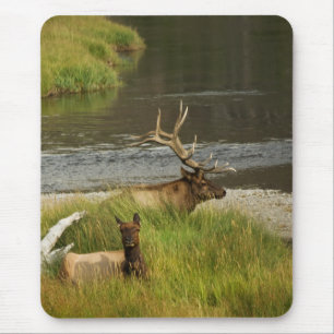 Yellowstone acopla Mousepad