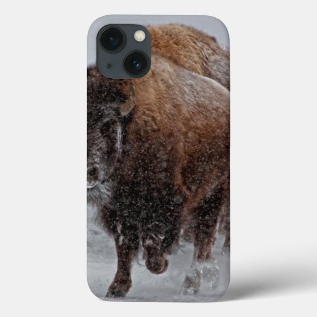 Yellowstone Bison (Verso)