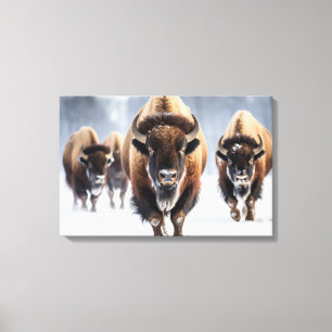 Yellowstone Bison Canvas Art