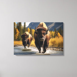 Yellowstone Bison Canvas Art