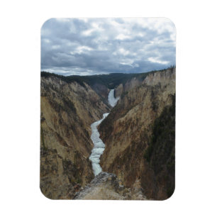 Yellowstone cai ímã da foto
