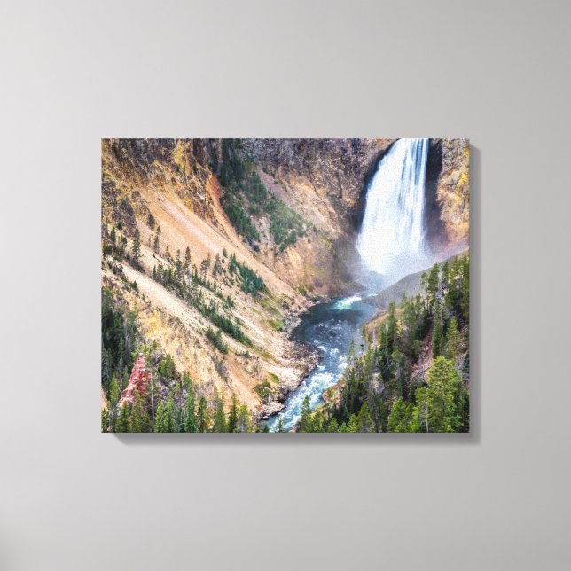 Yellowstone Lower Falls Canvas Art (Frente)