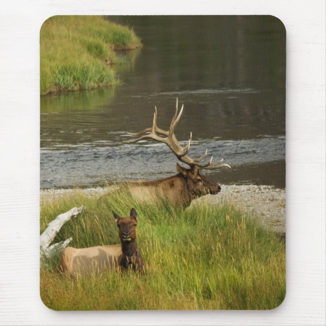 Yellowstone Mates Mousepad (Frente)