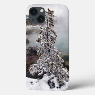 Yellowstone nevado