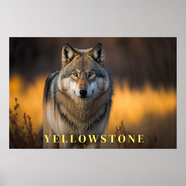 Yellowstone Poster Art (Frente)
