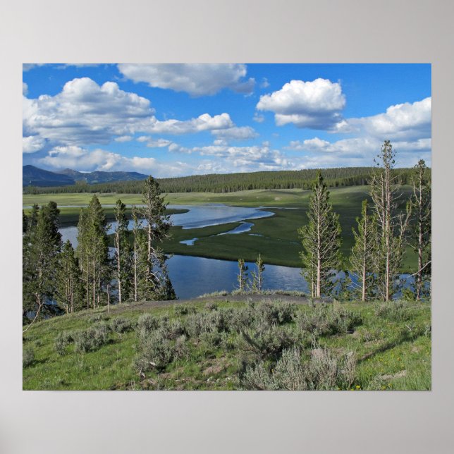 Yellowstone River Scense View Poster (Frente)