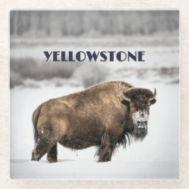 Yellowstone Snowy Buffalo Souvenir Porta copos de