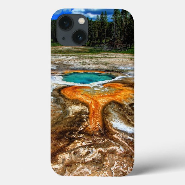 Yellowstone Thermal Pool (Verso)