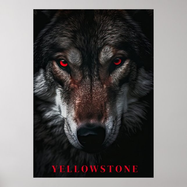 Yellowstone Wolf Poster Art (Frente)