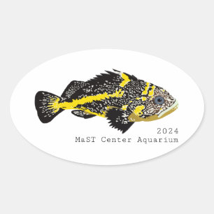 Yellowstripe Rockfish 2024 - Adesivos redondos clá