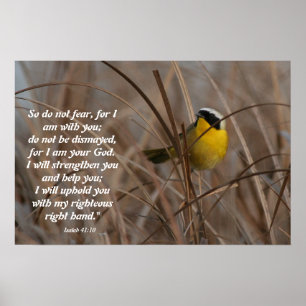 Yellowthroat Bird Isaiah 41:10 Impressão