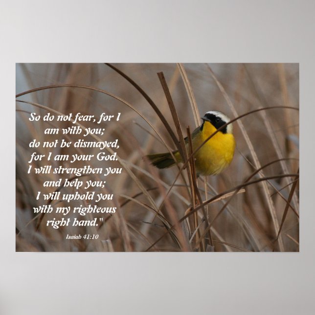 Yellowthroat Bird Isaiah 41:10 Impressão (Frente)