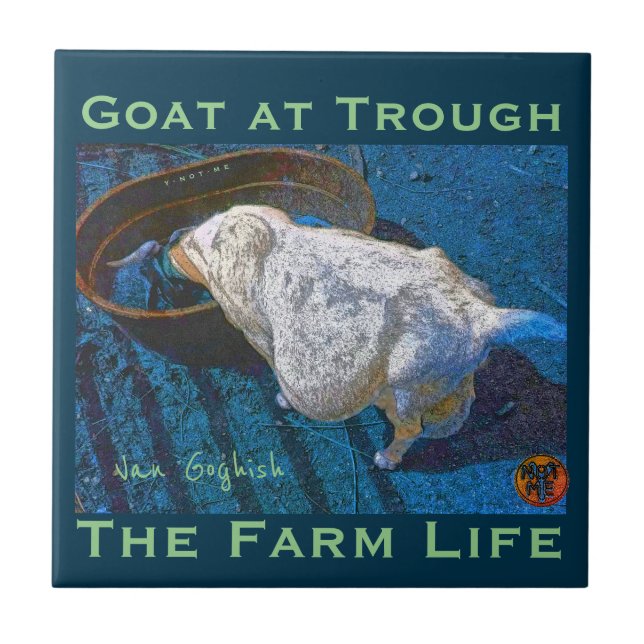 YNOTME VAN GOGHISH GOAT AT TROUGH2 (Frente)