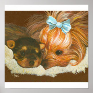 Yorkie Mama com Baby Impressão