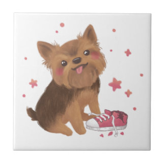 Yorkie, o melhor causador de problemas