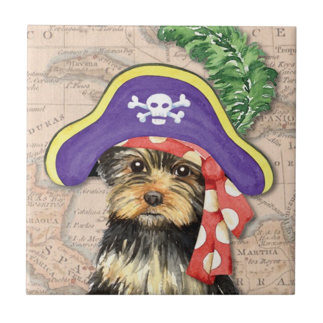 Yorkie Pirate (Frente)