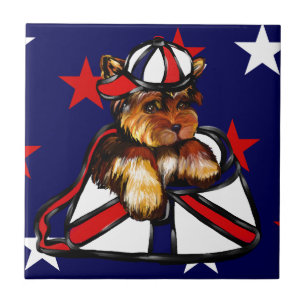 YORKIE POO
