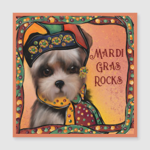 Yorkie Poo